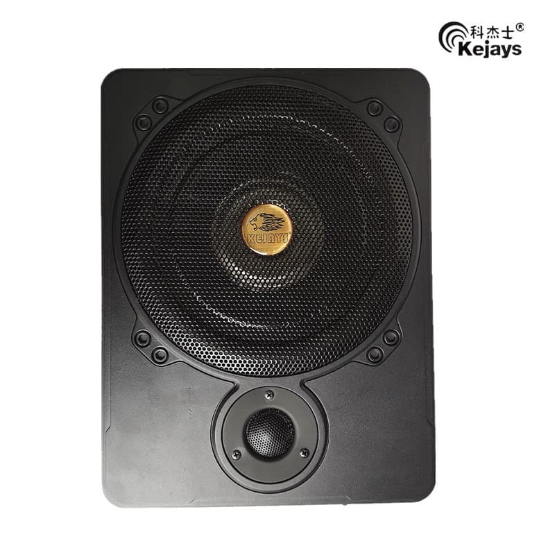 Ultra-thin 10-inch Subwoofer Slim High-Power Car Subwoofer Car Audio Small Steel Cannon Free Shipping