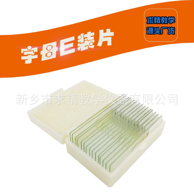 Quality biological section specimens for primary and secondary schools, letter "e" slide, glass microscope specimen slide.