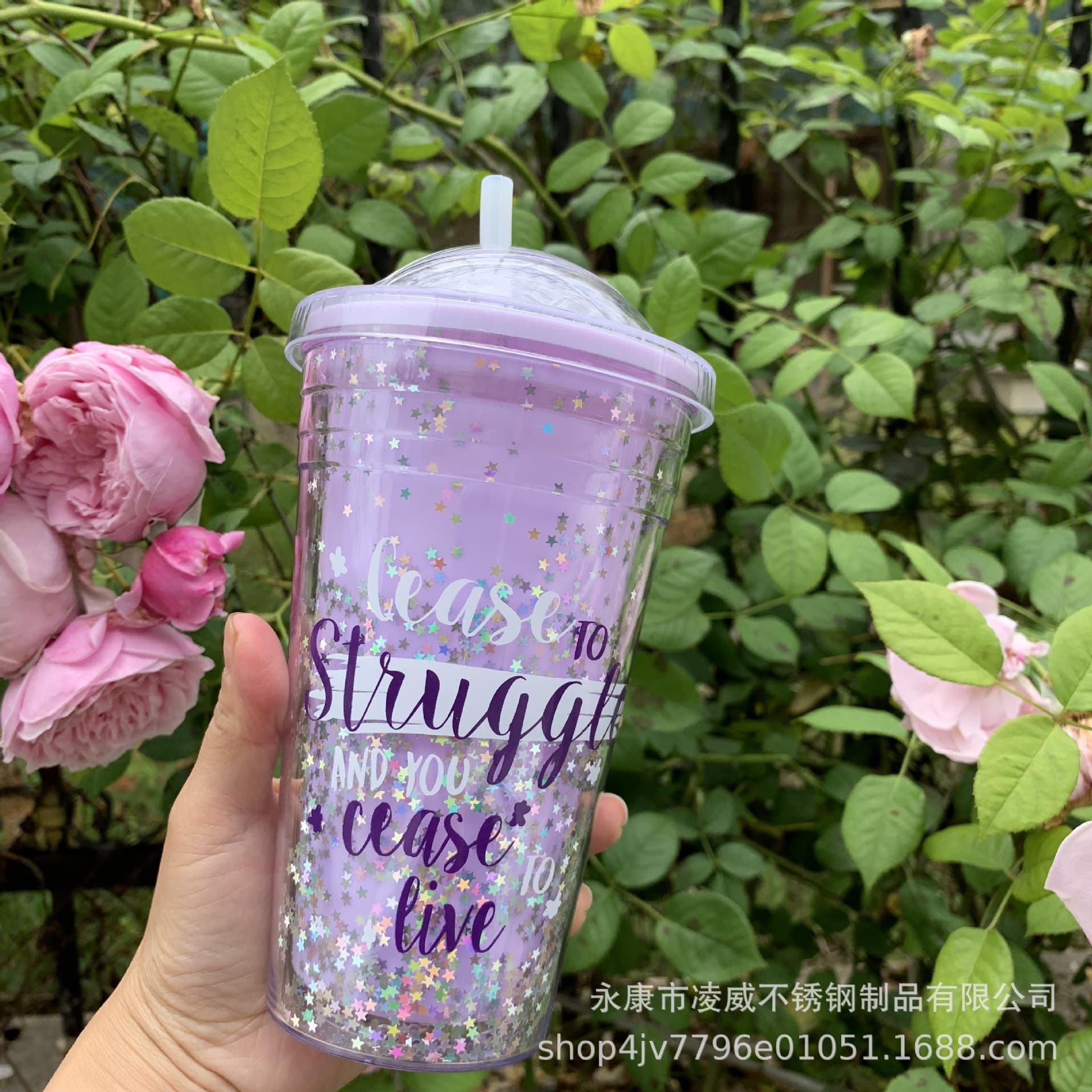 Star Glitter Push-Lid Straw Cup Double-Layer Plastic AS Shimmer Water Cup 450ml Christmas Cup Creative Doll S Cup