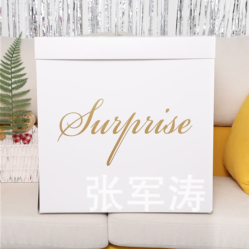 Surprise Box Ins Surprise Balloon Gift Box Valentine's Day Proposal Birthday Surprise Box Trendy Gift Box