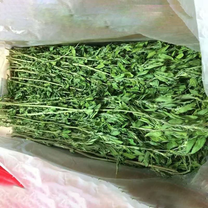 Dried alfalfa hay, suitable for rabbits, chinchillas, guinea pigs, and other livestock, 1000g, available from the manufacturer.