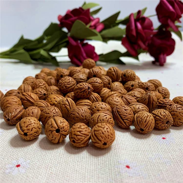 Peach Pit Bracelet Material Peach Pit Raw Material Loose Seeds DIY Small Peach Pit Original Seeds Carving Peach Pit