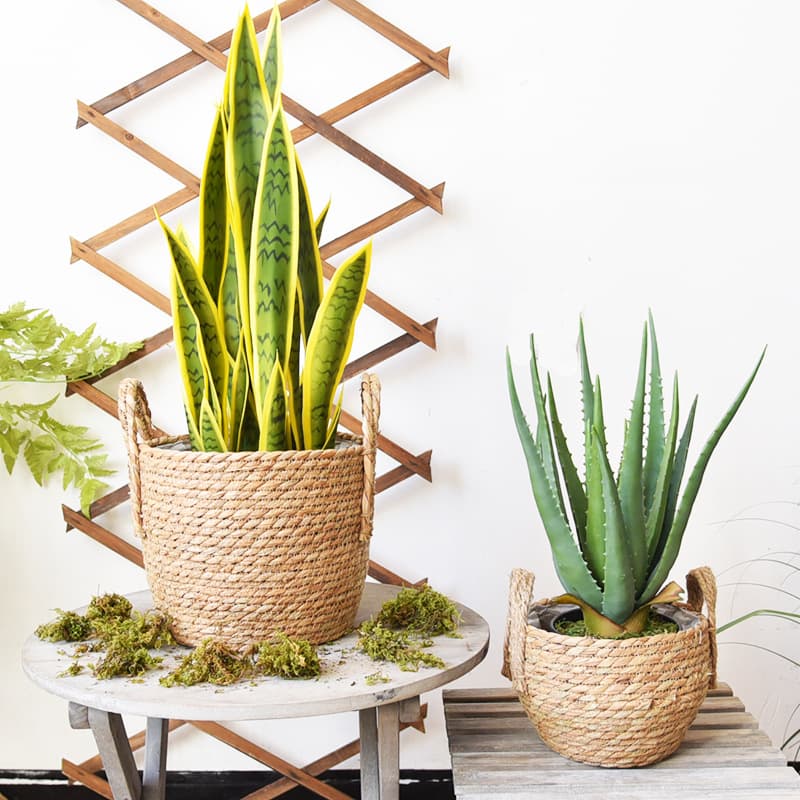 Handmade Bamboo Woven Flower Pot Basket for Fresh Flowers and Vines, Office Culture Plant Decor