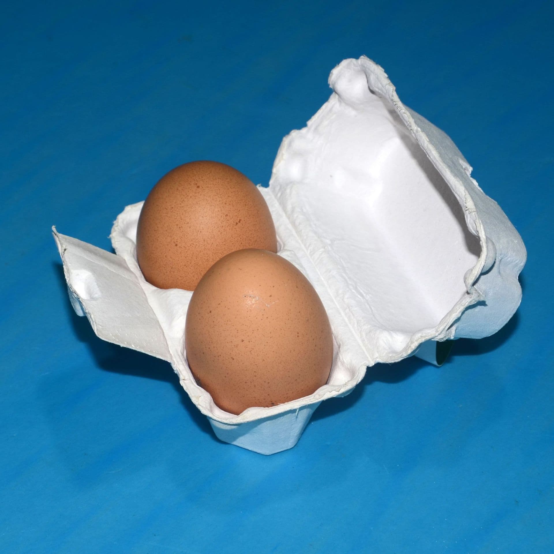 2-piece white egg holder pulp molded pulp tray pulp box free-range egg box packaging pulp holder