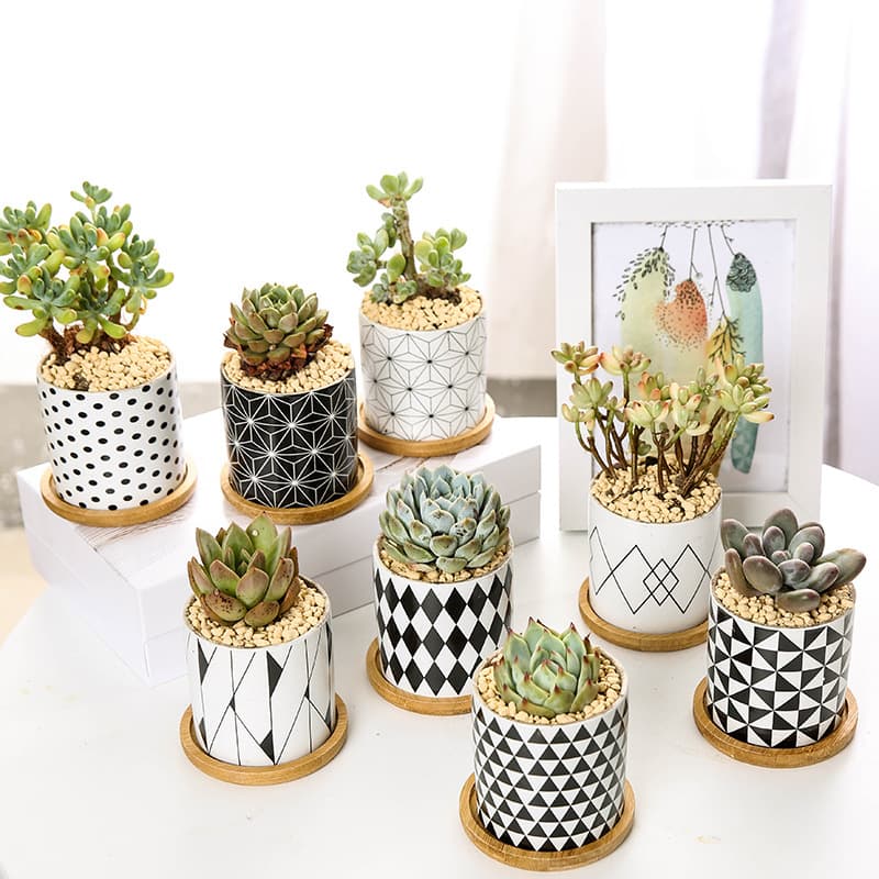 Geometric Pattern Ceramic Succulent Pot for Export, Nordic Straight Cylinder Minimalist Black and White European Style Home Succulent Planter