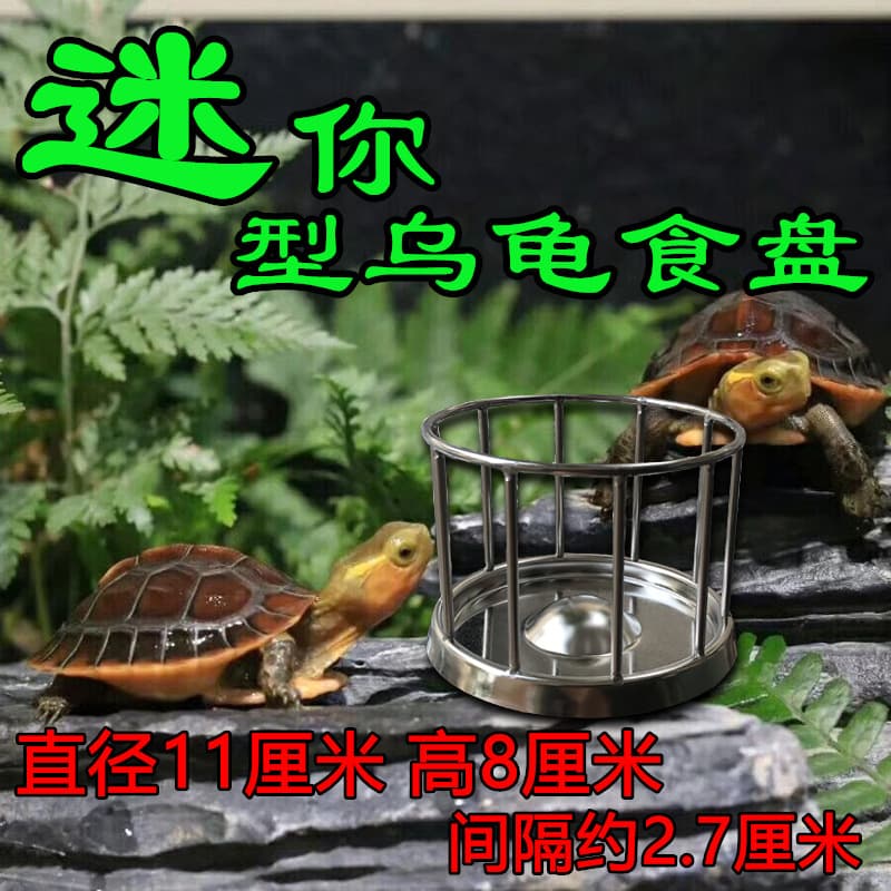 Mini Turtle Feeder Tortoise Semi-Aquatic Turtle Food Tray 304 Stainless Steel Pet Yellow-Margined Box Turtle Food Bowl Food Table