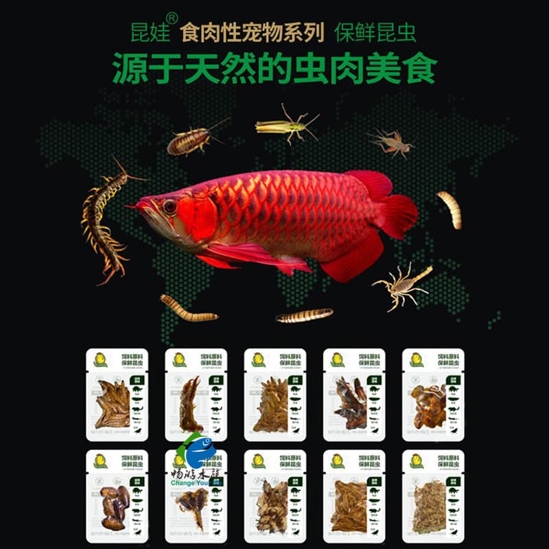 Kunwa Preserved Insect Fish Food: Mealworms, Crickets, Centipedes, Cockroaches, Superworms, Phoenix Worms, Silkworm Pupae, Millet Worms