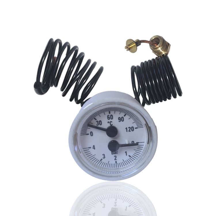 Temperature and Pressure Integrated Gauge, Temperature-Pressure Gauge, Dual Capillary Temperature and Pressure Gauge WY-40Z 4bar 120°C