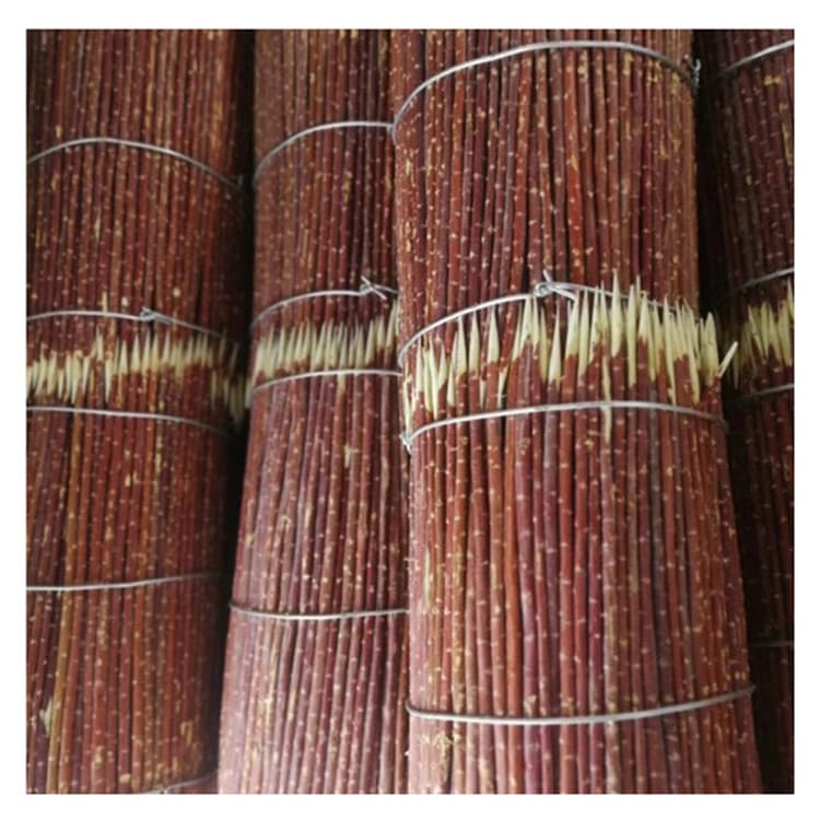 (Free shipping to Xinjiang) Manufacturer Xinjiang Red Willow BBQ Skewers, Red Willow Branch Lamb Skewers Wholesale