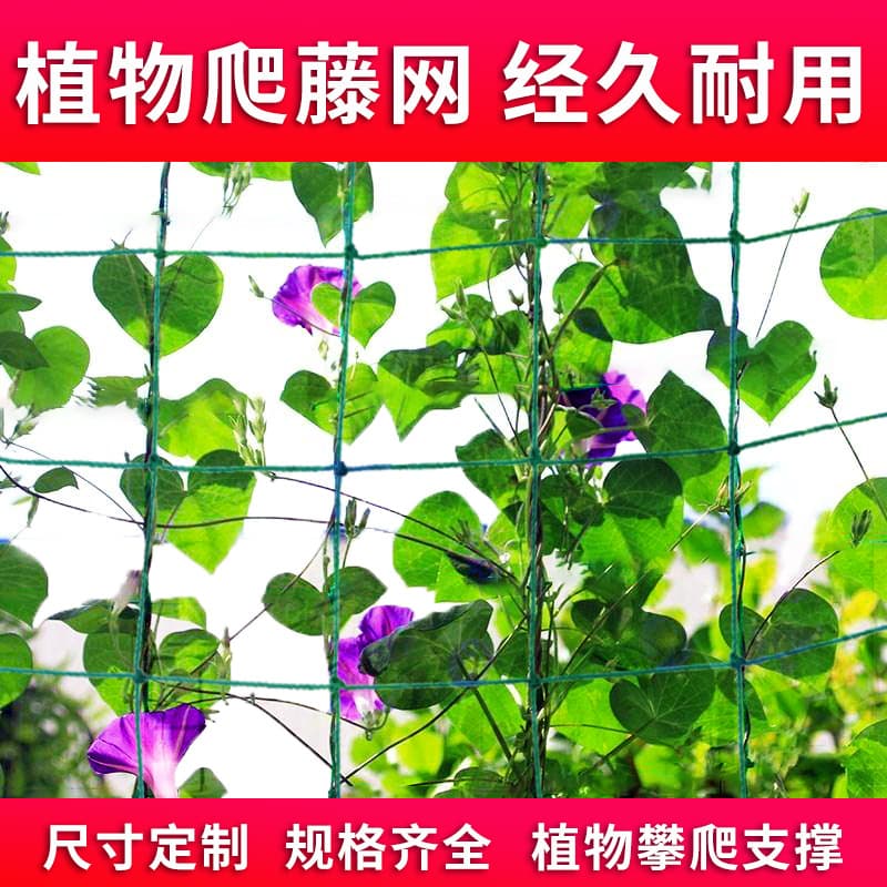Cross-border Supply Plant Vine Net, Green Gardening Home Use for Passion Fruit, Grape, Cucumber Climbing Grid Net