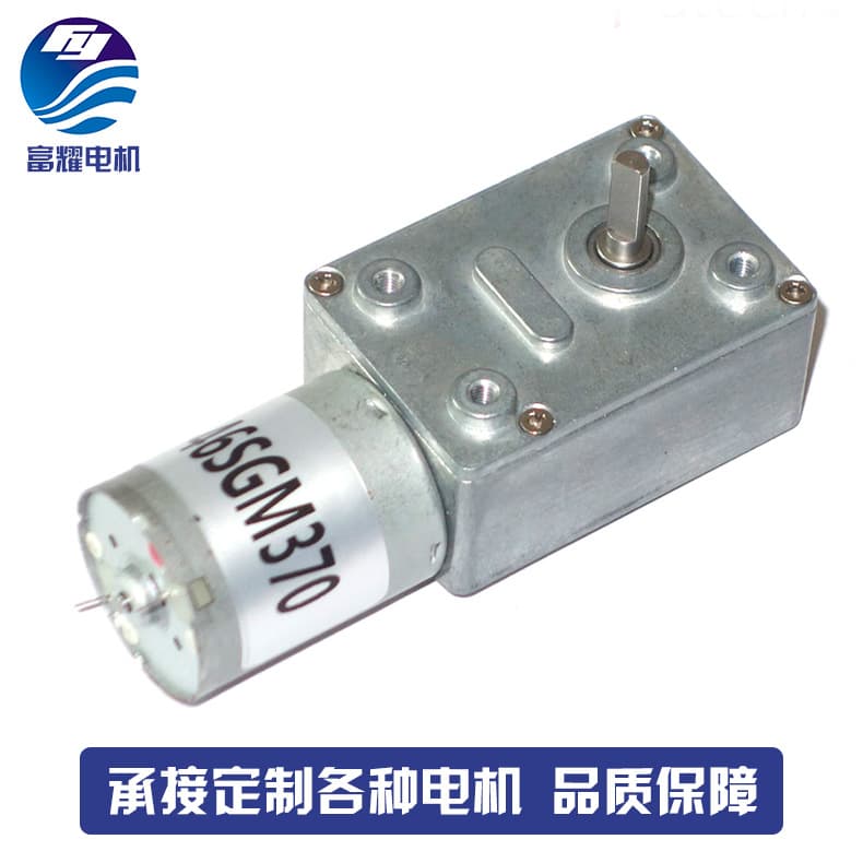 Worm Gear Reduction Motor for Vending Machine, Automatic Flip Lid, Small Appliance Reduction Motor Custom