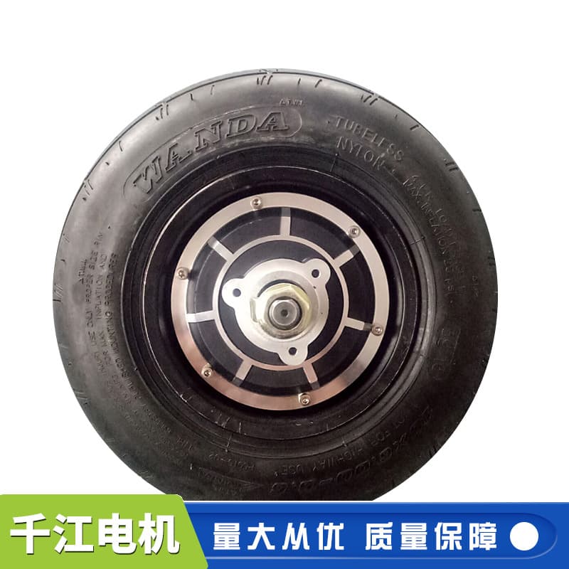 Factory Supply 10-inch Egg Car Motor DC Brushless Hub Motor Electric Bicycle Hub Motor