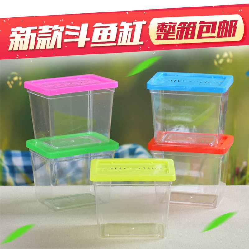 New small portable container with rope, transport box for turtles, goldfish, pets, and insects.