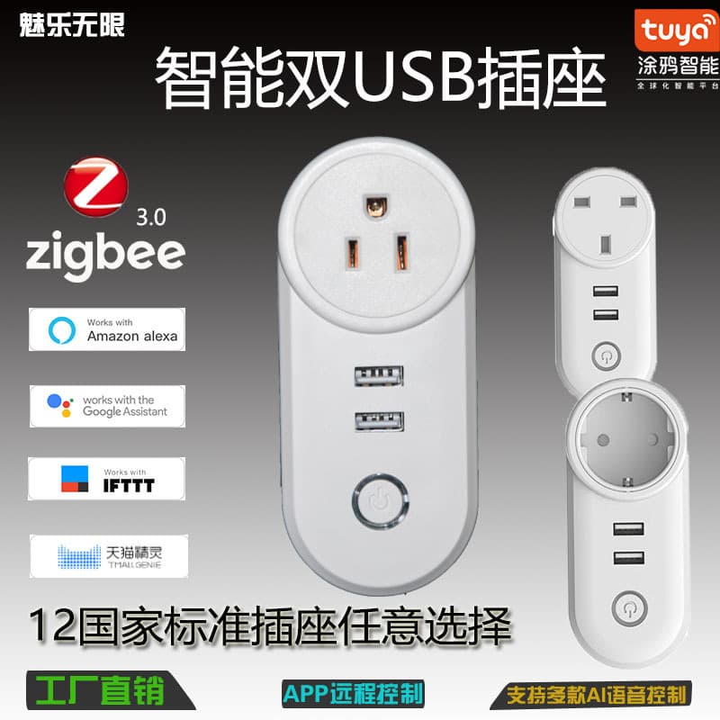 Smart Socket ZigBee Dual USB Alexa Voice Control Timer Dual-Control EU/US Standard Multi-country