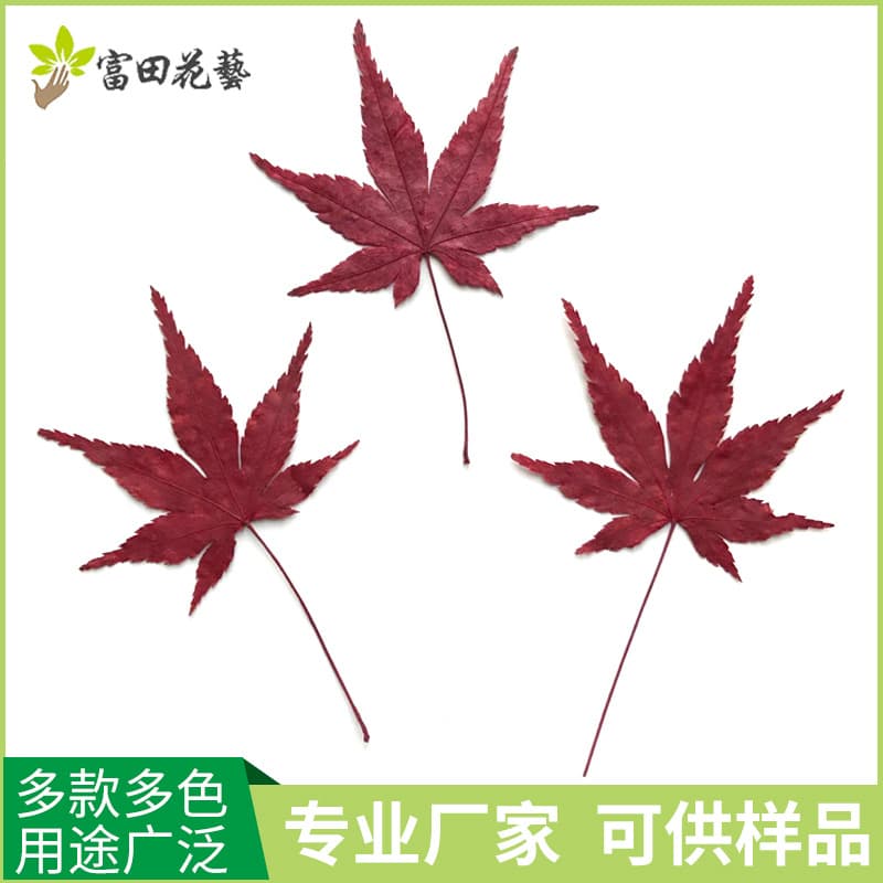 Factory Supply Handmade Maple Leaf Bookmark, Natural Plant Specimen DIY Pressed Flower Materials for Phone Cases