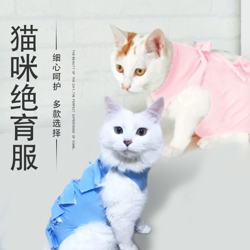 Cat Spay Suit for Female Cats, Weaning Suit, Post-Surgery Anti-Licking Suit, Spring and Summer Thin and Breathable, Four-Leg Cat Pet Clothing