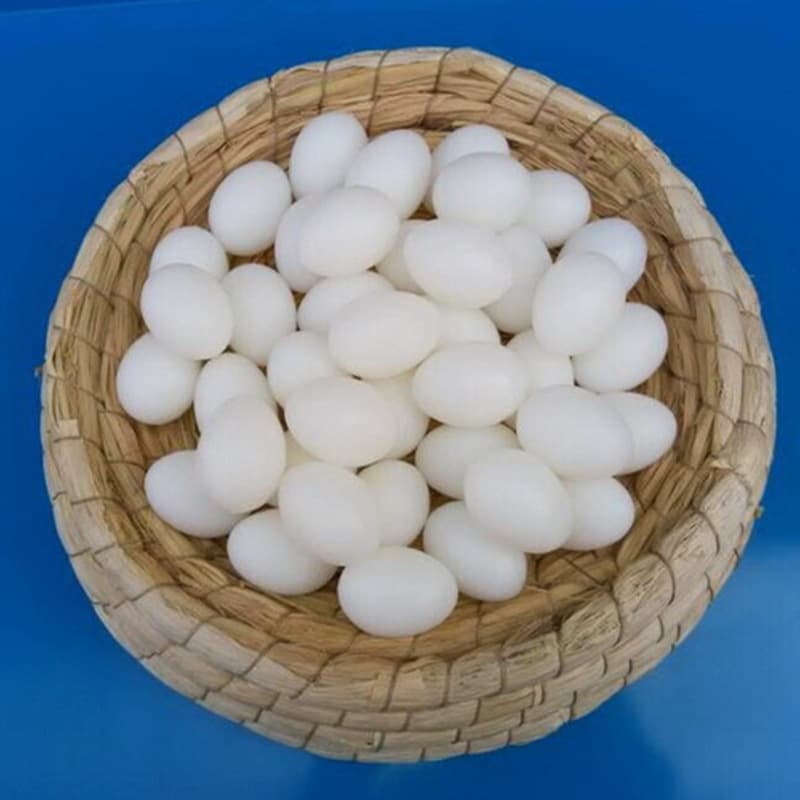 Jinyu Wang Pigeon Supplies Pigeon Tools Simulation Pigeon Eggs Fake Eggs High-Quality Fake Eggs Solid Fake Pigeon Eggs
