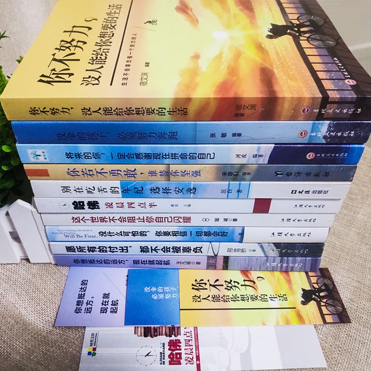 Adult Books: No One Can Give You the Life You Want If You Don't Work Hard - Youth Inspirational Books