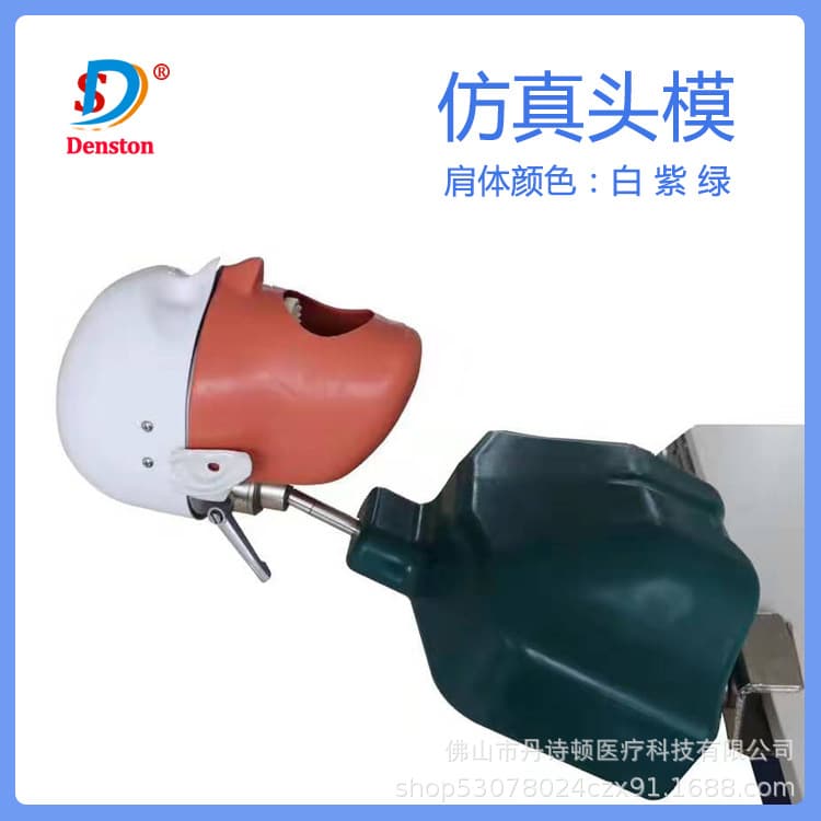 Dental simulation head model practice oral teaching model dental model teaching head model can be replaced with dental chair pillow