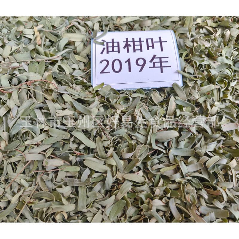 Wild Phyllanthus Leaves 2024, Indian Gooseberry Leaves, Pillow and Cushion Filling Material, Emblica Leaves