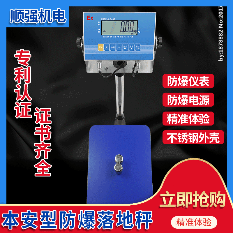 Pingfeng Yaohua Ex-A8 Intrinsically Safe Explosion-Proof Electronic Stainless Steel Chemical Plant 300kg Explosion-Proof Electronic Floor Scale