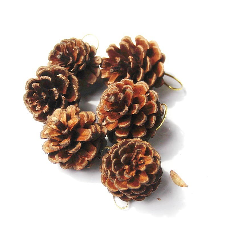 Christmas Accessories Pinecone Christmas Tree Decorations Nutritional Snacks Christmas Market Setup Natural Conifer Decoration