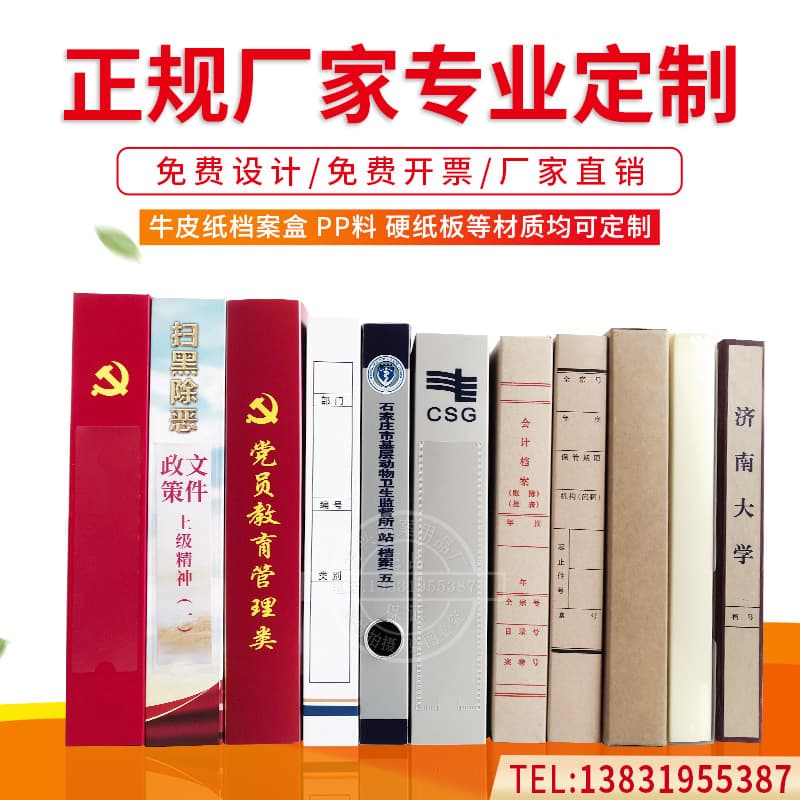 Manufacturer Custom Kraft Paper File Boxes and Bags with Logo Printing, Colored or White A4 Bags for Bidding