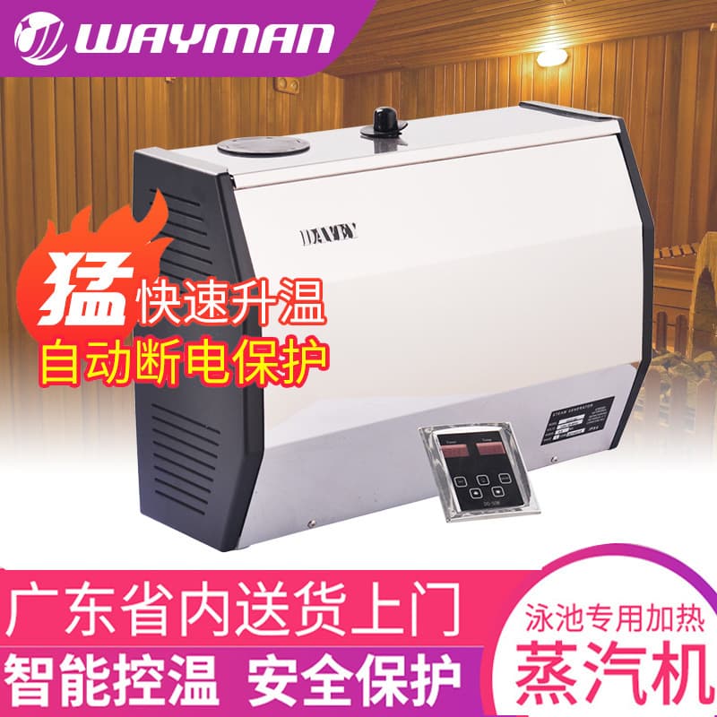 Cross-border Home Sauna Steam Generator Stainless Steel Digital Display Electric Heating Steam Boiler Wet Steam Sauna Room