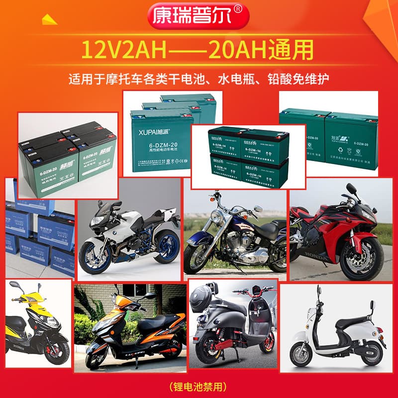 36V 12AH 20AH 40A 24V 12 Charger Electric Battery for Two-Wheel and Three-Wheel Vehicles, Tianneng Chaowei Wheelchair