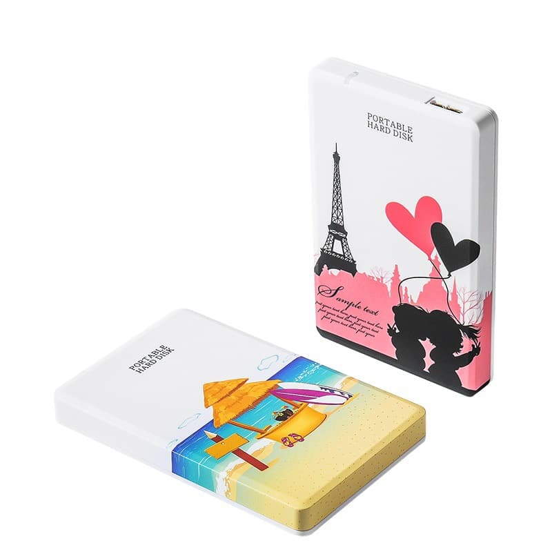 Lanshuo Artistic Cartoon Portable Hard Drive 1TB 500GB USB 3.0 Portable Hard Drive 250GB 2TB
