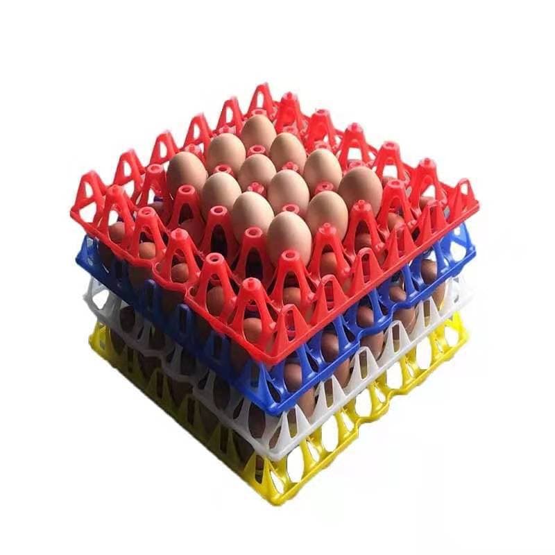 Wholesale and retail egg trays, plastic egg boxes, colorful egg trays, hatching trays, transport trays