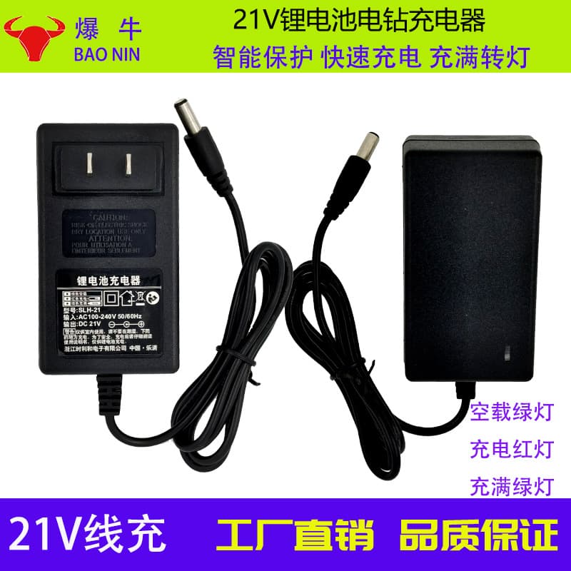 Charger 5V 8.4V 12.6V 16.8V 21V 25.2V Lithium Battery Power Tool Charger Wholesale