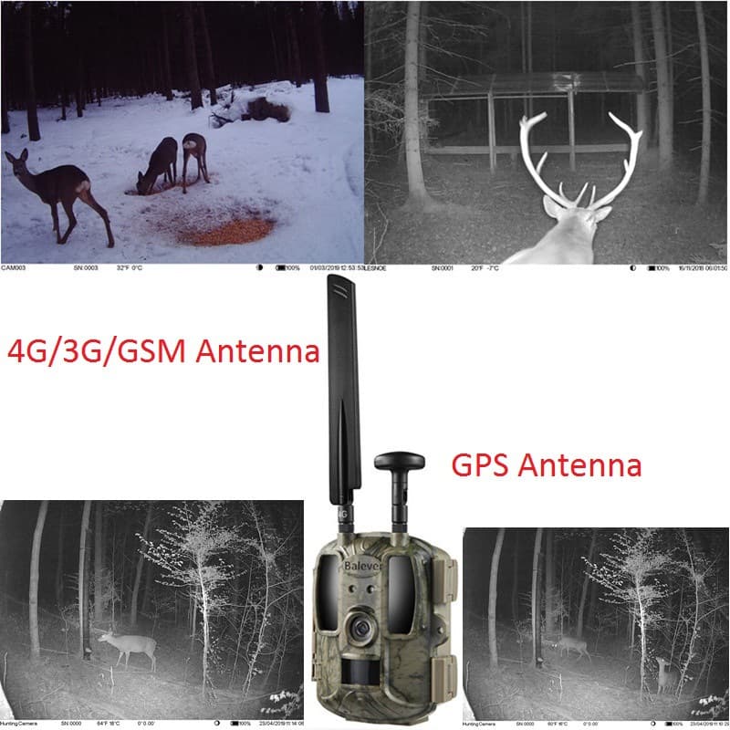 4G Trail Camera Infrared Night Vision Animal Tracking Camera Supports China Mobile, China Unicom, China Telecom IPX6