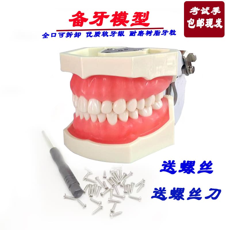 Detachable Dental Tooth Preparation Practice Model with Gingival Retraction Exercise, Soft Gum Resin Teeth Model, Includes Knife