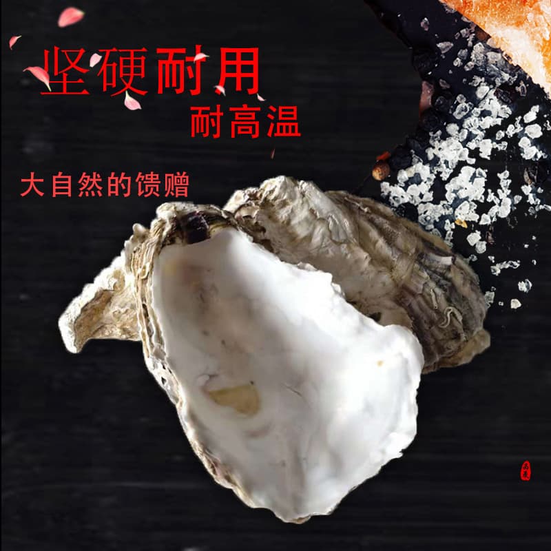 Oyster shell filter material Oyster shell filter material fish tank wall oyster shell nitrifying bacteria fish tank filter material