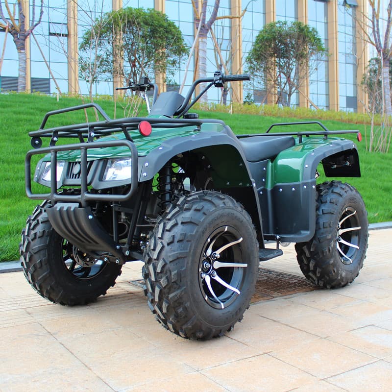 ATV Beach Bike GY6 Continuously Variable Speed Beach Bike 200cc All-Terrain Mountain Racing Off-Road Motorcycle
