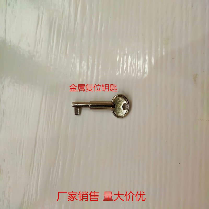 Emergency Button Metal Key / Emergency Button Key / Manual Reset Key PB-28/PB-68