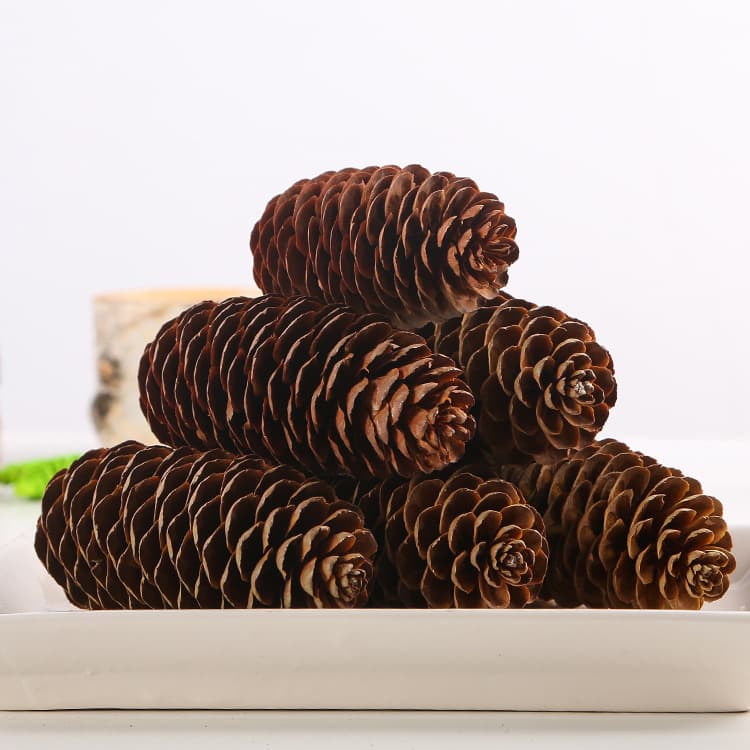 4-12cm fish scale pinecone Christmas tree pine cone dried flower ornament Christmas decoration DIY material photography props