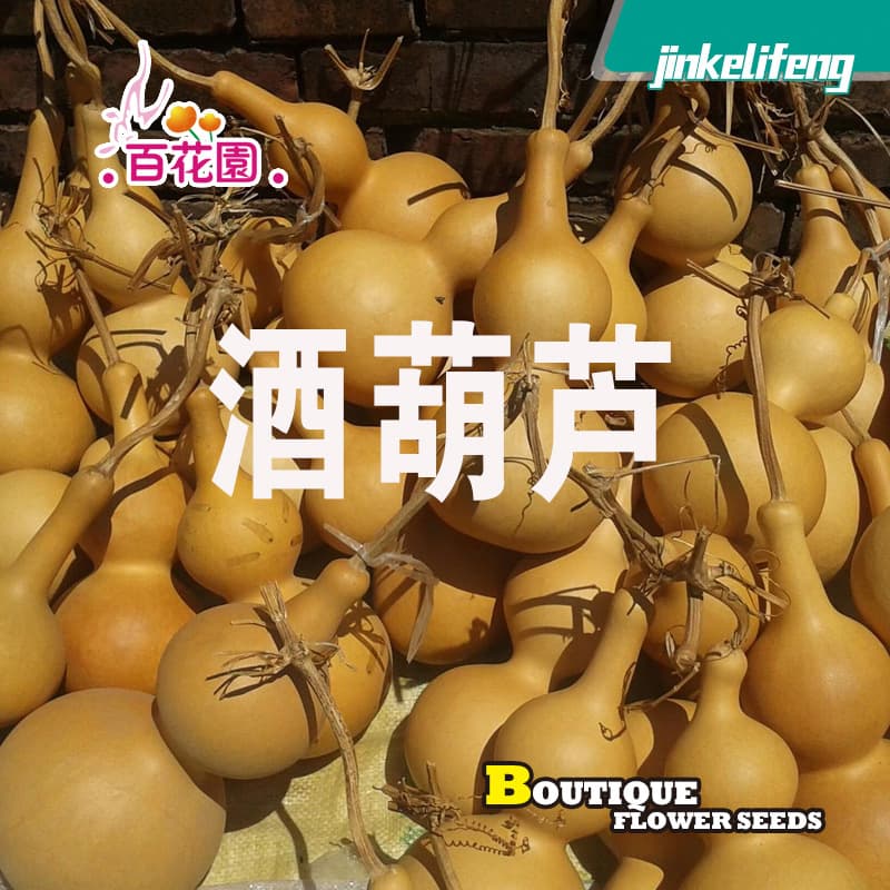 Gourd Seeds for Wine Gourd, Cricket Gourd, Waist Gourd, Large Gourd, Gourd Baby, Antique Play, Climbing Wall, Villa