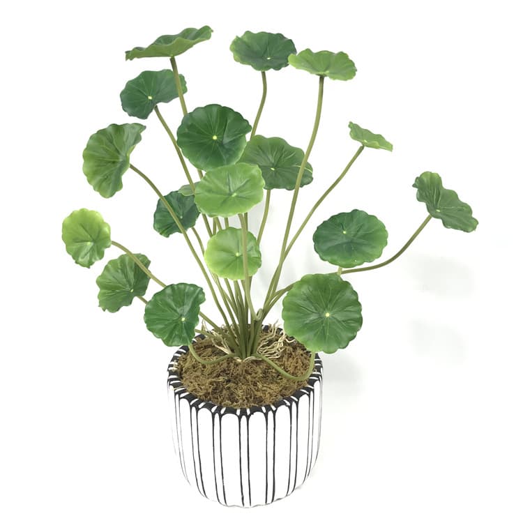 Home decoration simulated green plants, cross-border artificial handles, simulated lotus leaves, factory direct sales mini copper money grass