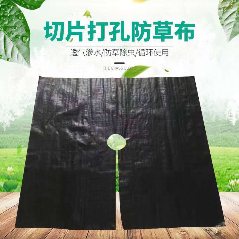 Custom PE Chinese Herbal Medicine 60X60 Single-Hole Planting Mulch Film for Fruit Trees, Weed Control and Heat Preservation, Black Agricultural Film, Low Light Transmission Film