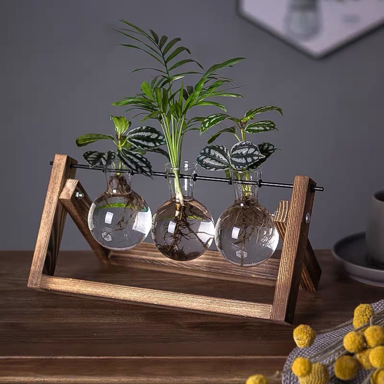 Creative Wooden Stand Hydroponic Pothos Glass Vessel Container Pot Office Desktop Indoor Green Plant Modern Decorative Ornament