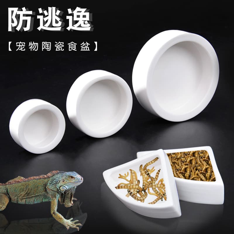 Lizard ceramic food bowl prevents live food from escaping, stops mealworms and barley worms from getting out, and protects maned lion ceramic food bowl from escape.