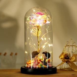 Valentine's Day Gift Colorful 24k Gold Foil Flower Rose in Glass Dome with LED Light Gift Box
