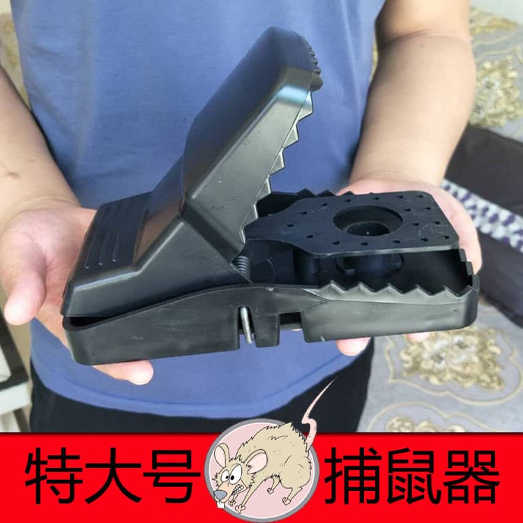 Manufacturer direct batch of highly sensitive, snap-action plastic mouse traps, ideal for street vending and market use.