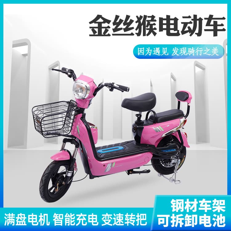 Golden Monkey Electric Bicycle 48V Two-Wheeled Electric Bike E-bike Factory Direct Export