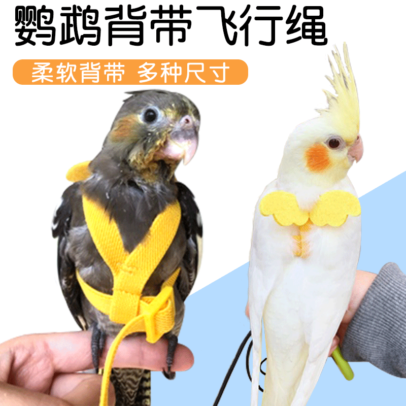 Parrot Harness Ultra-Light Flight Leash for Lovebirds, Cockatiels, Sun Conures, Parakeets