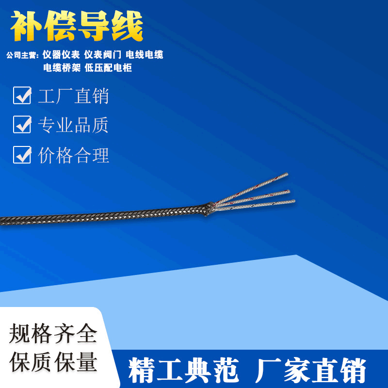 ZR-KX-FVP2 Compensation Wire Thermocouple Accessories 2*1.5 2*1.0 High-Temperature Resistant Sensor