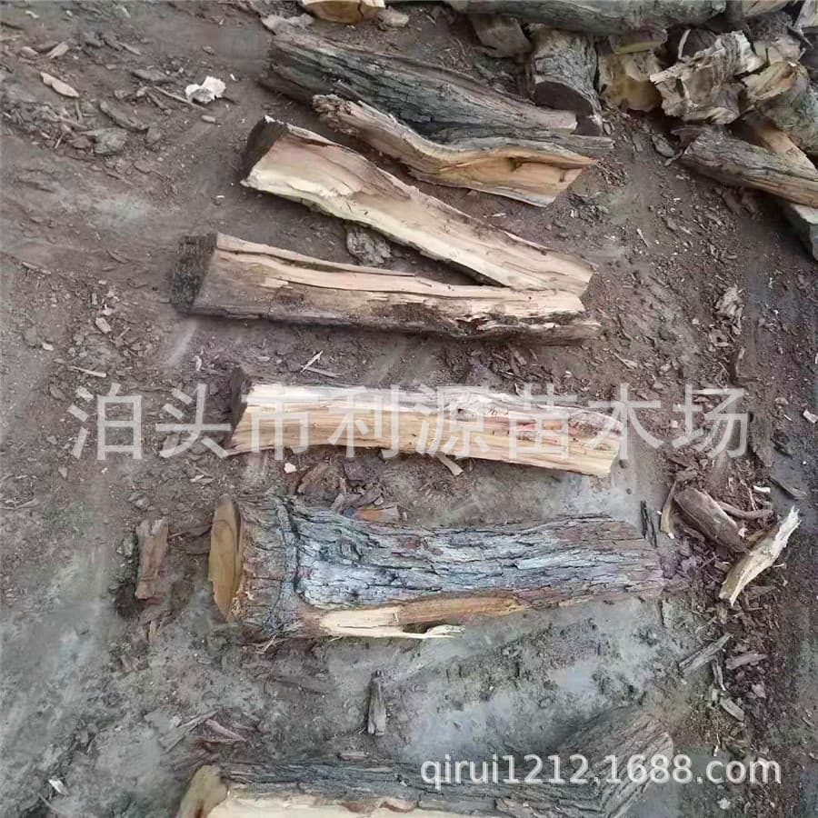 Custom Jujube Wood Firewood for Fireplace Heating, Processed for Roasting Duck and Meat, Fruitwood Jujube Wood Hard and Long-Burning Wood
