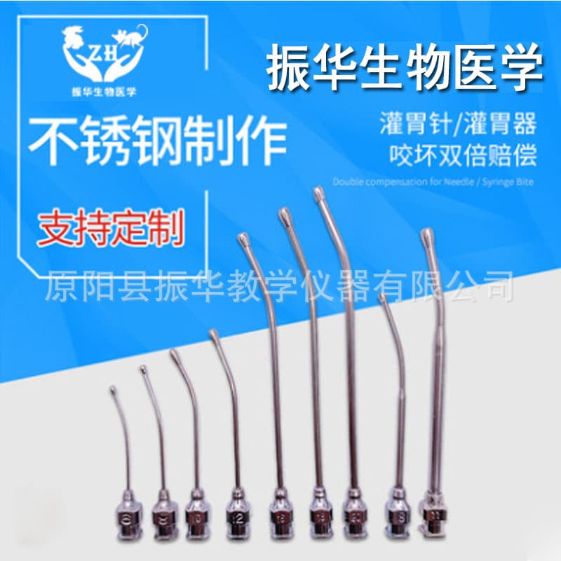Gavage Needle Stainless Steel Gavage Needle for Large and Small Mice, Sizes 8, 10, 12, 16, 18, 20 Straight and Curved
